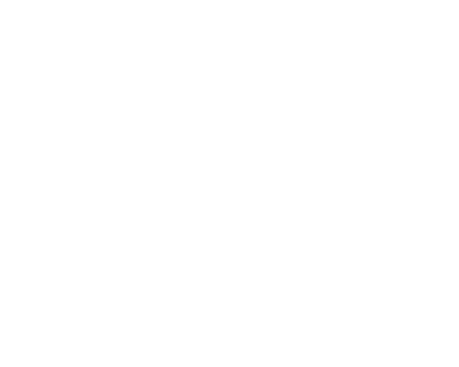 Maria Camila Aristizábal — Nutrición & Diabetes